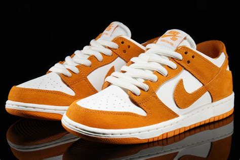 Nike dunk sb shoes